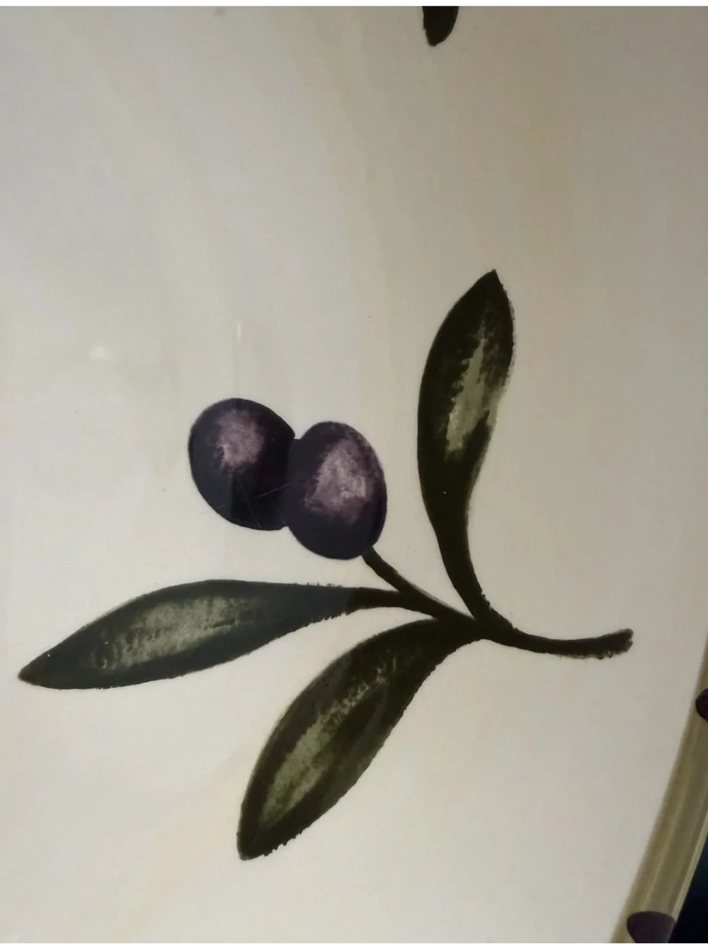 Williams Sonoma Liguria Black Olive 13